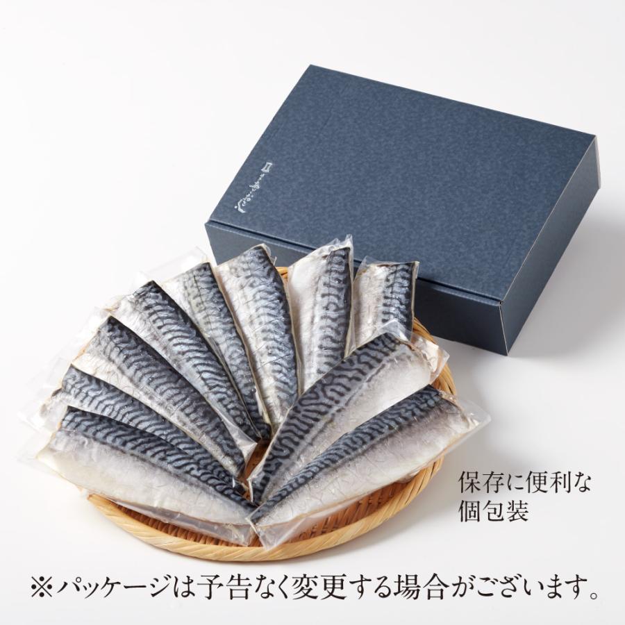 骨取り塩さば 10枚入 あごおとし 博多まるきた水産 ご飯のお供 お取り寄せ さば サバ 鯖 切り身 干物 ひもの 福岡 骨なし 骨取り ほねとりさば | 博多あごおとし | 01