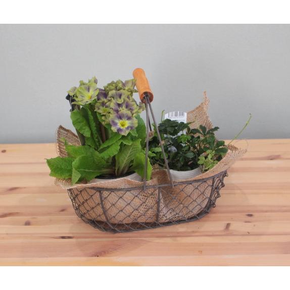 バスケット 寄せ植え お洒落 雑貨 ガーデニング 園芸用品 バスケット 寄せ植え お洒落 雑貨 ガーデニング 園芸用品