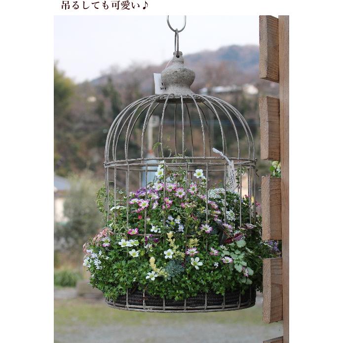バードケージ 鳥かご アンティーク Lサイズ 高さ47cm おしゃれ