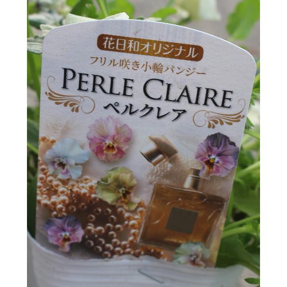 フリル咲きパンジー ペルクレア 3号 花日和 小輪 良株 寄せ植え 花苗