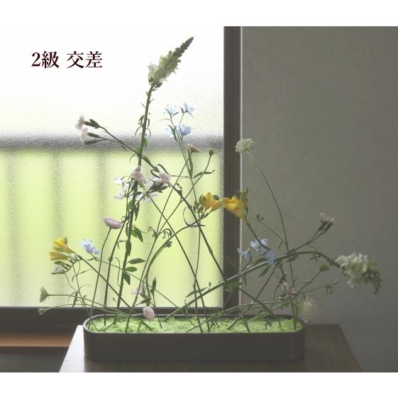 Nfd資格検定 花材セット 2級 交差 Nfd 23 アグレアーブル花や 通販 Yahoo ショッピング