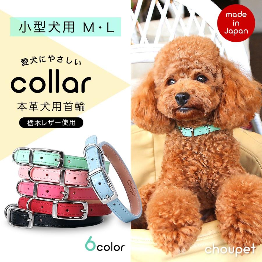 犬 首輪 犬の首輪 おしゃれ ブランド 革 小型犬 革製 皮 本革 レザー 栃木レザー かわいい カラー シンプル 10mm メール便送料無料 Dc001 アグレス 通販 Yahoo ショッピング