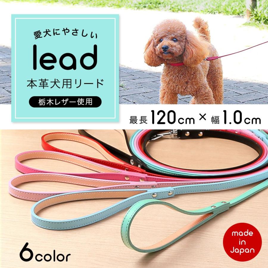 Web限定カラー 犬用リード リード 犬 小型犬用の本革リード メール便送料無料 小型犬 10mm シンプル 首輪 犬のリード かわいい おしゃれ 栃木レザー レザー 本革 皮 革製 革 首輪 ハーネス リード