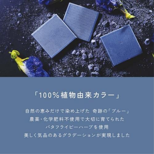 CARRE・DE・BLUE カレドブルー 9枚入り 幸せを呼ぶ青いチョコレート 青