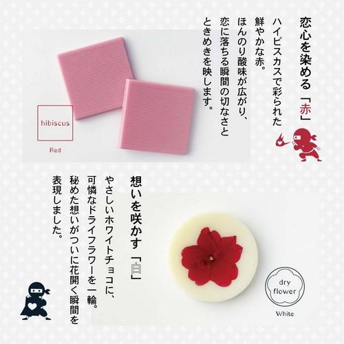 植物油脂不使用 シノビショコラ チョコレート 5枚入り 和風スイーツ