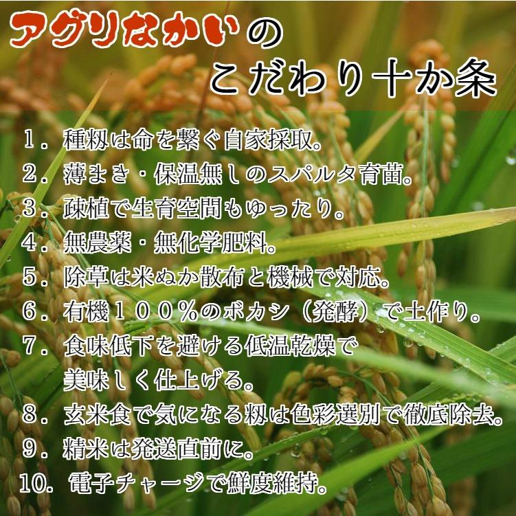 無農薬　玄米 無農薬栽培米・滋賀旭27号・玄米10kg | 幻のお米 無肥料栽培で復活