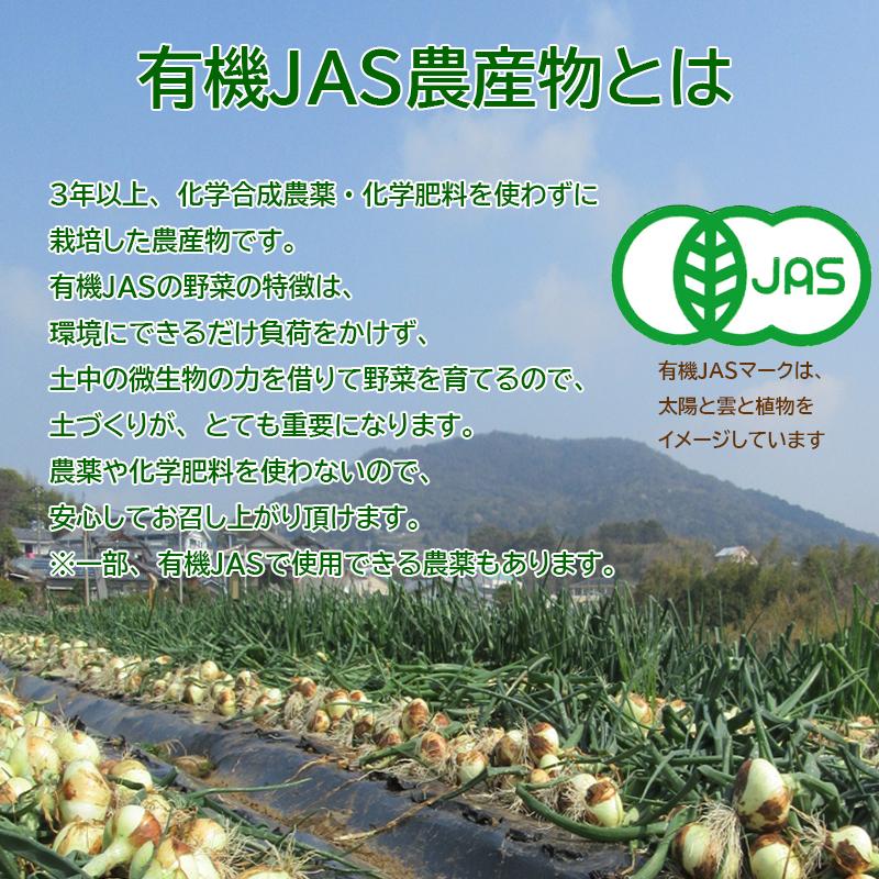 有機新玉ねぎ 10kg箱 有機ＪＡＳ 送料無料｜agricreate｜02