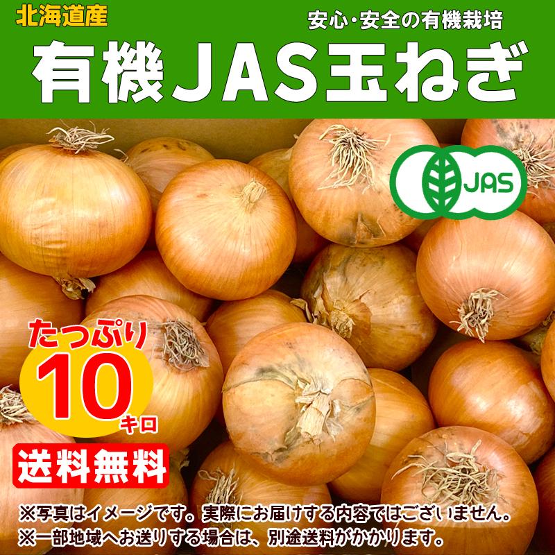 北海道産 玉ねぎ 苗