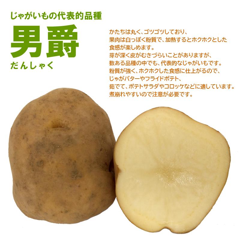 ①男しゃくジャガイモ 北海道産 15キロ 送料込み 大幅に値引き可能です。 viva-danred5_thum_01.jpg