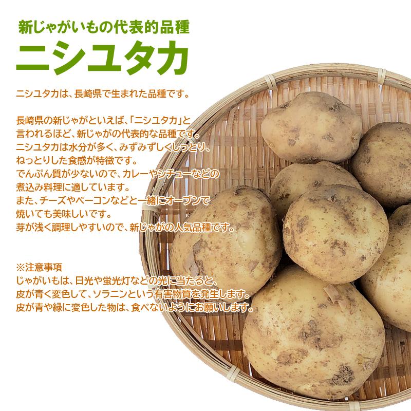 送料無料 有機新じゃがいも 5kg箱 長崎県産 長有研さん 他 有機ｊａｓ 付与