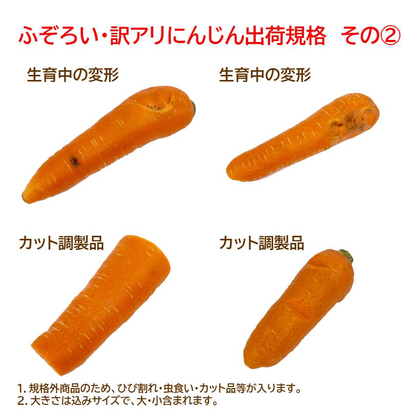 オーガニック 無農薬人参ジュース用洗い5kg : アグリクリエイト - 通販