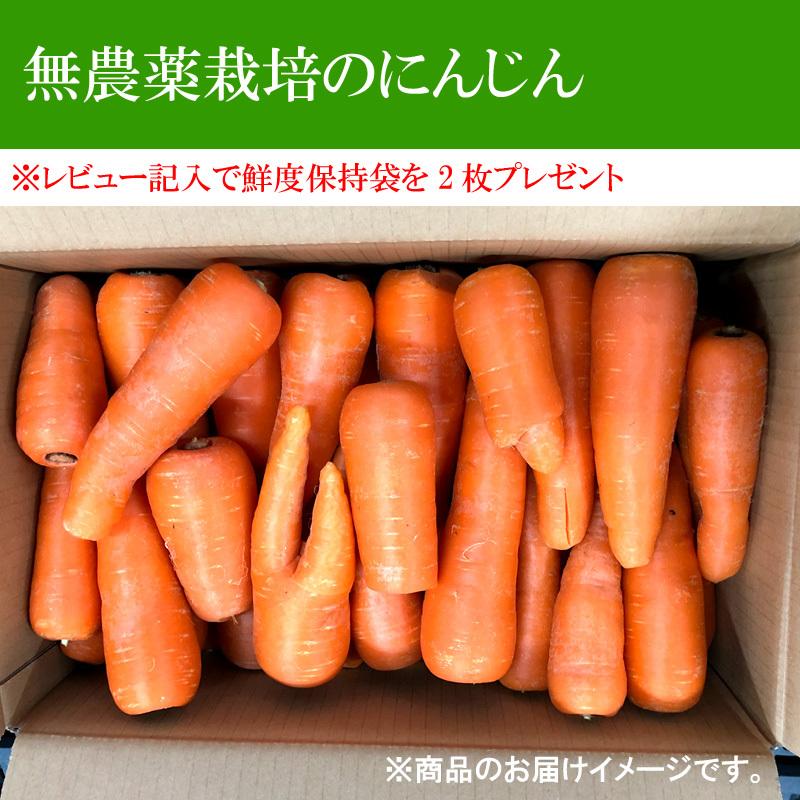 オーガニック 無農薬人参ジュース用洗い5kg : アグリクリエイト - 通販