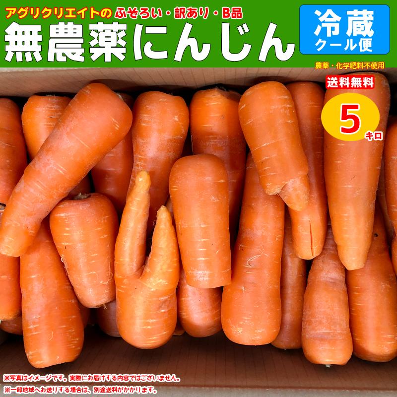 オーガニック 無農薬人参ジュース用洗い5kg クール冷蔵便専用 : アグリ