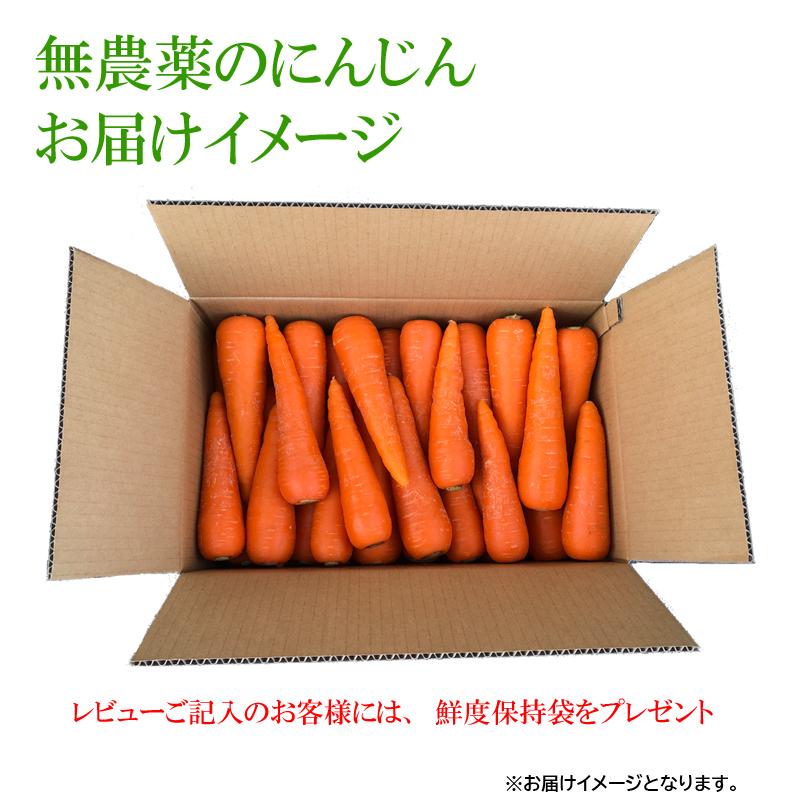 オーガニック 無農薬人参洗い5kg A品 : アグリクリエイト - 通販