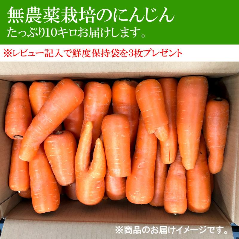 無農薬人参ジュース用洗い10kg | オーガニック | 07