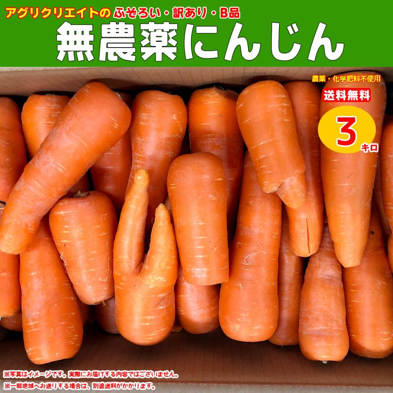 無農薬人参ジュース用洗い3kg（Yahoo!・アグリクリエイト）
