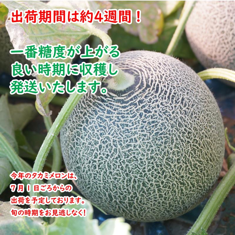 買物 送料無料 千葉県産タカミメロン２個箱 ご自宅用