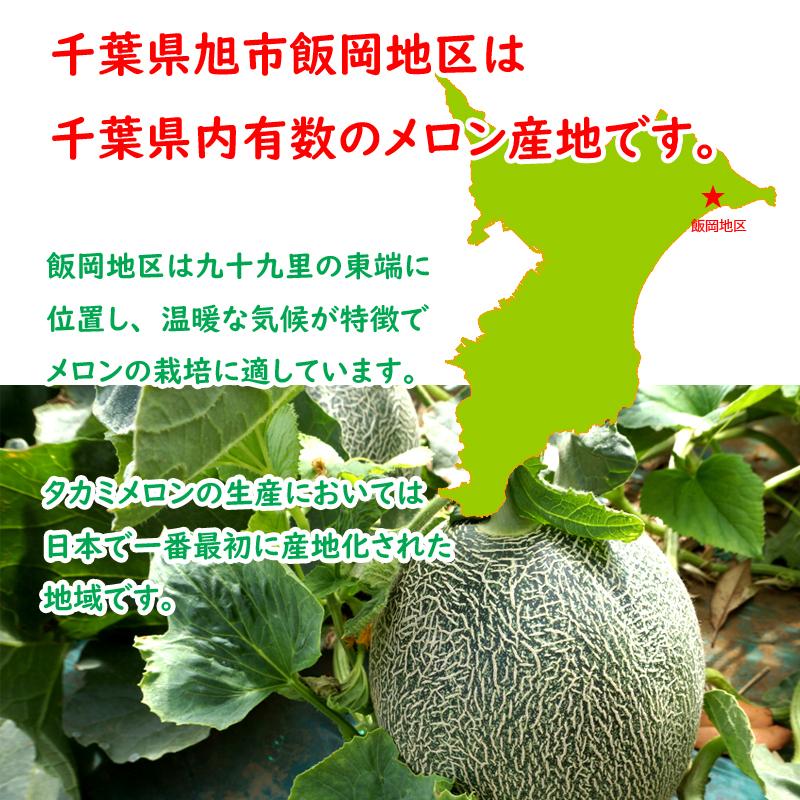 千葉県産タカミメロン（レッド）2個箱（2kg以上〜） ※ご自宅用
