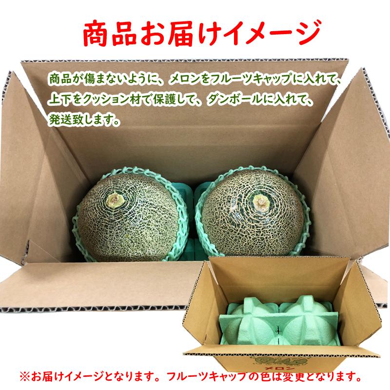 千葉県産タカミメロン（レッド）2個箱（2kg以上〜） ※ご自宅用