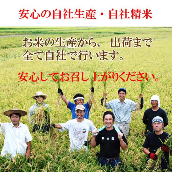 茨城県産コシヒカリ白米5kg 送料無料 : アグリクリエイト - 通販