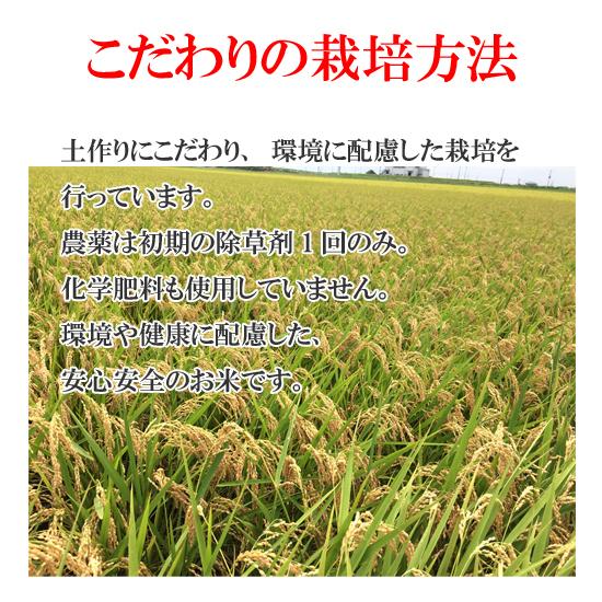 ふくみさん用　茨城県産 コシヒカリ 9kg+5Kg さ自然農 茨城県産 こしひかり 5kg【直送品・代引不可・キャンセル不可】