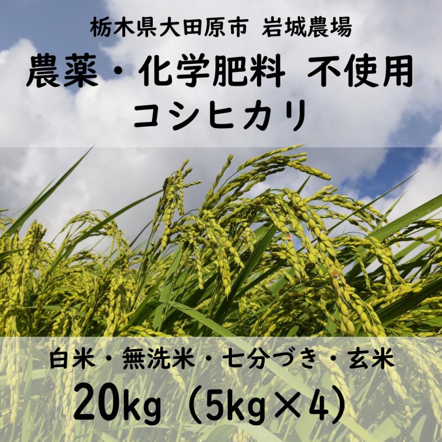 お米20kg】農薬・化学肥料 不使用 コシヒカリ 2025年産（5kg×4
