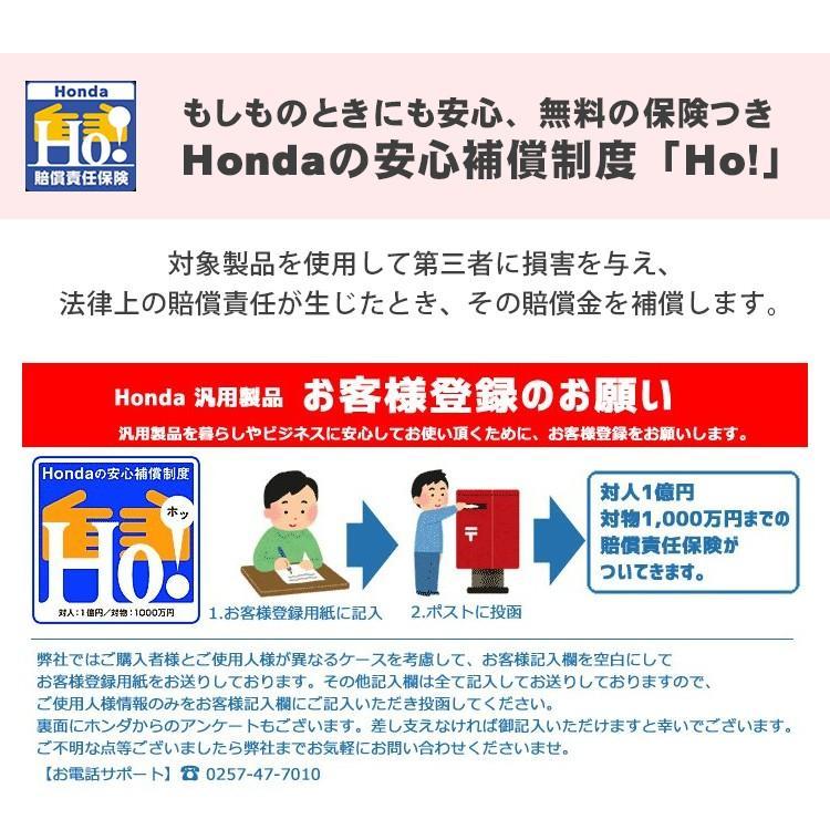 高圧洗浄機　エンジン式　小型　ホンダ　最大吸水量10L　ガソリン　メーカー保証付き　WS1010　最大圧力10MPa　min　メーカー保証付き