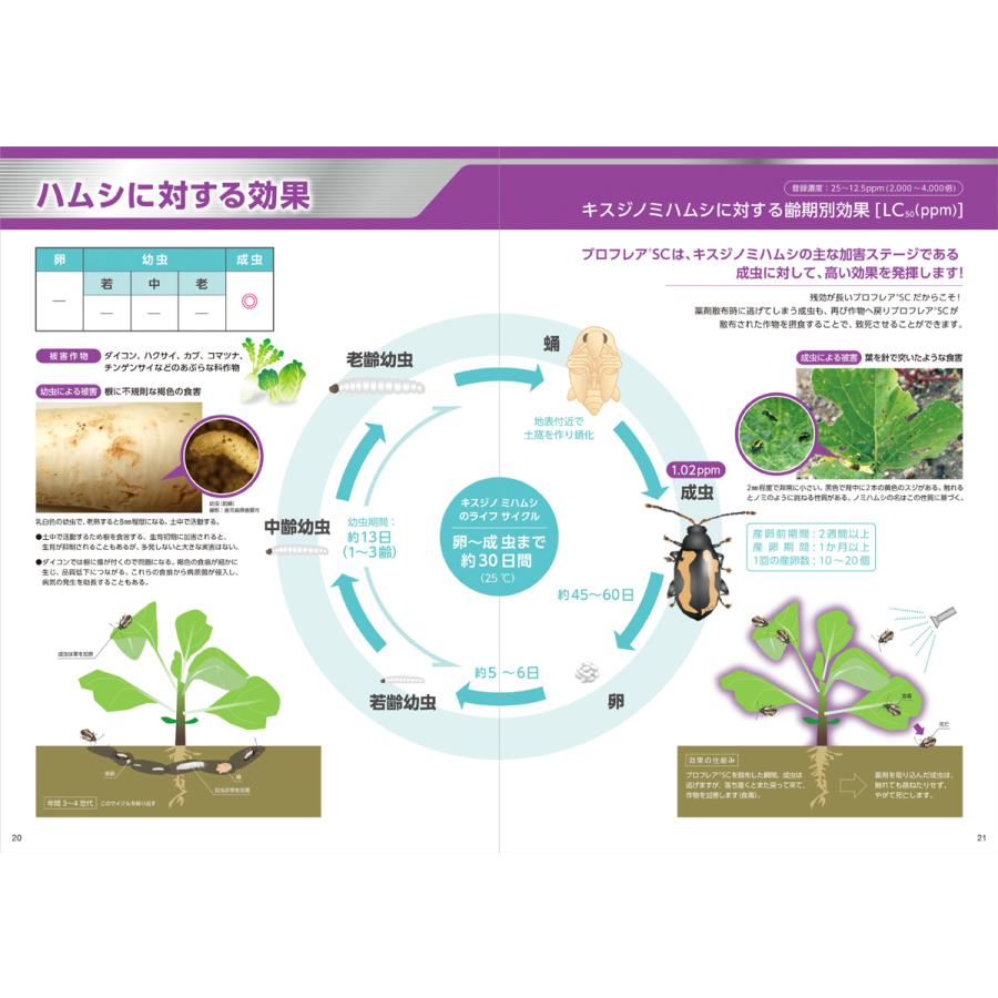チョウ目・ハムシ専門剤 ブロフレアSC 250ml :brofreya250:アグリマートYahoo!店 - 通販 - Yahoo!ショッピング チョウ目・ハムシ専門剤 ブロフレアSC 250ml :brofreya250:アグリマートYahoo!店 - 通販 - Yahoo!ショッピング