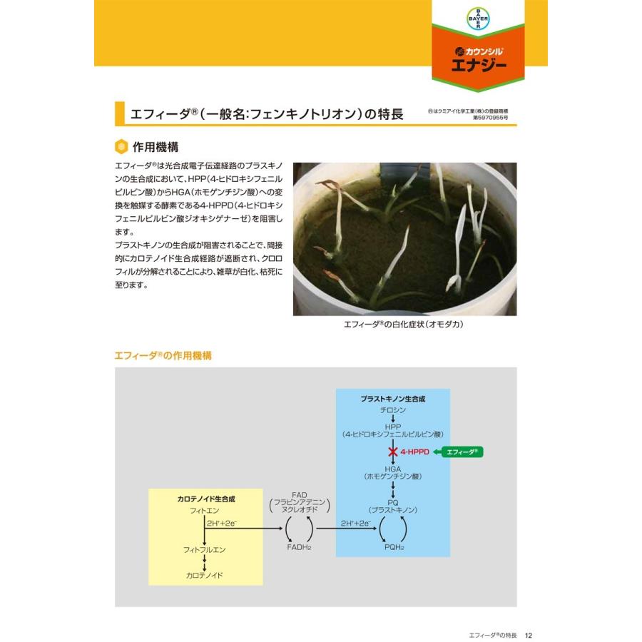 水稲初中期一発除草剤「カウンシルエナジー1キロ粒剤」4kg｜agrimart｜13