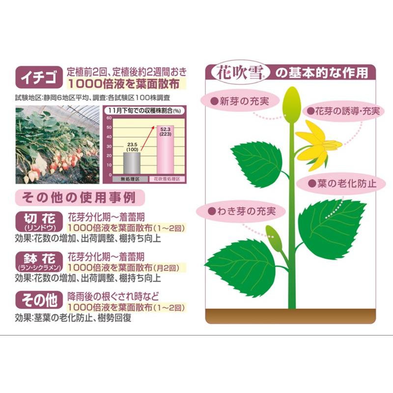花芽促進剤 花吹雪 100cc |  | 03
