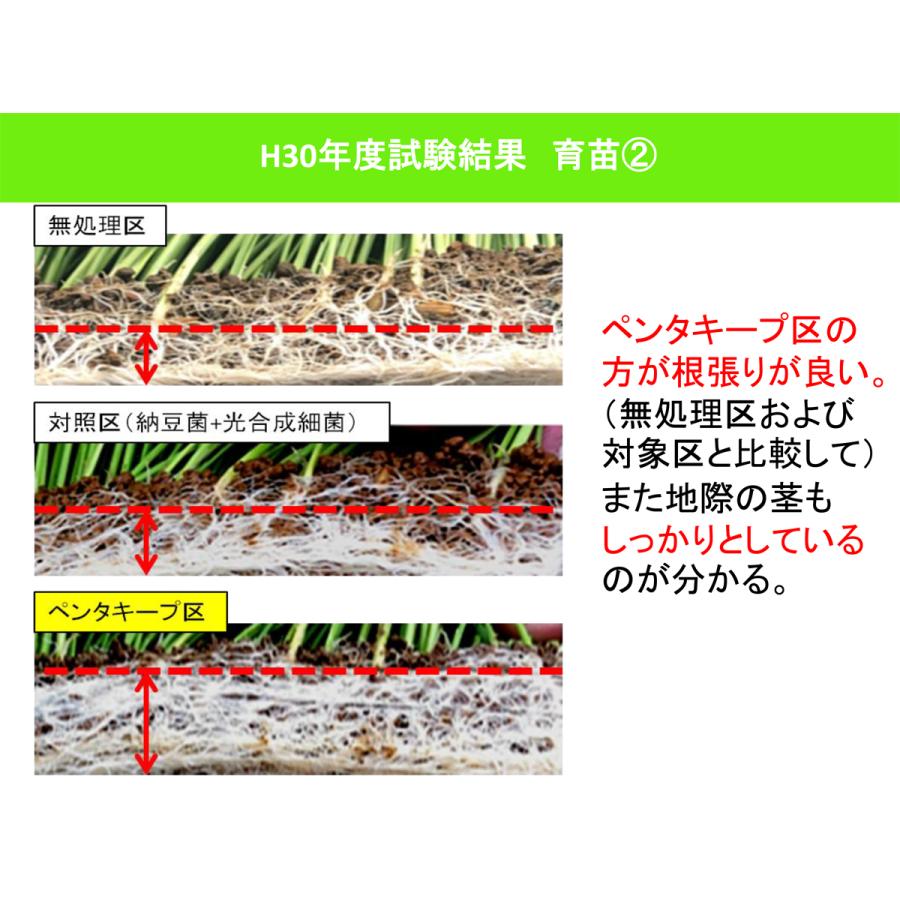 ペンタキープHyper5000 100ml : アグリマートYahoo!店 - 通販 - Yahoo