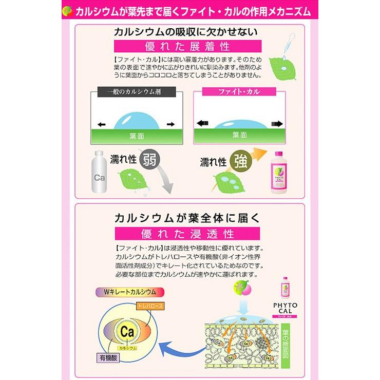 カルシウム補給に ファイト・カル 1L : アグリマートYahoo!店 - 通販