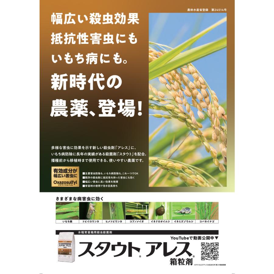 水稲育苗箱専用殺虫殺菌剤「スタウトアレス箱粒剤」12kg : アグリ 