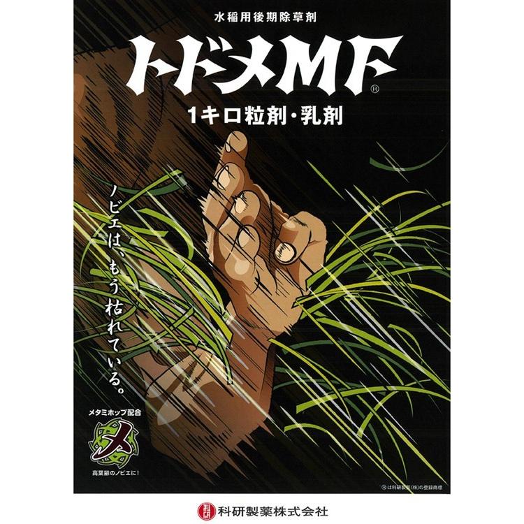 水稲用後期除草剤「トドメMF1キロ粒剤」1kg : アグリマートYahoo!店