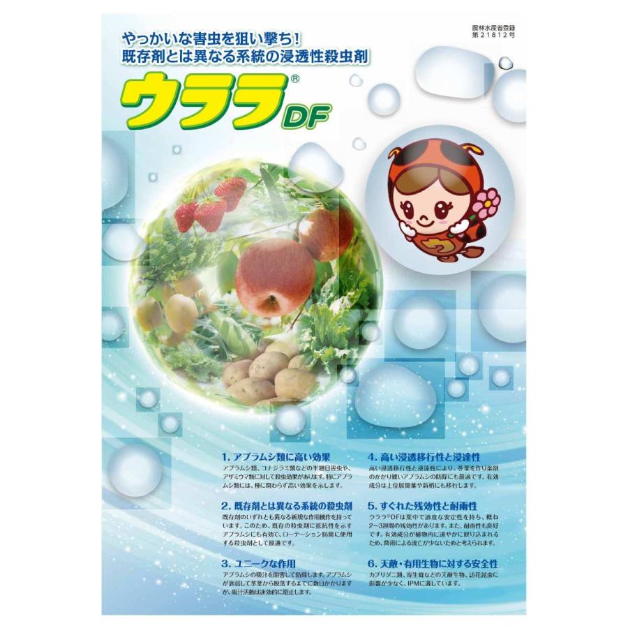 ウララDF 500g 殺虫剤 アブラムシ類 コナジラミ類 : 農薬・園芸用品・アグリミライズYahoo!店 - 通販 - Yahoo!ショッピング