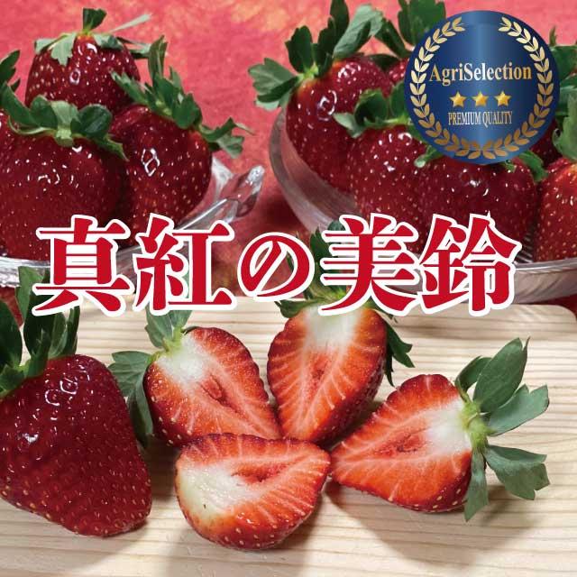画像の説明