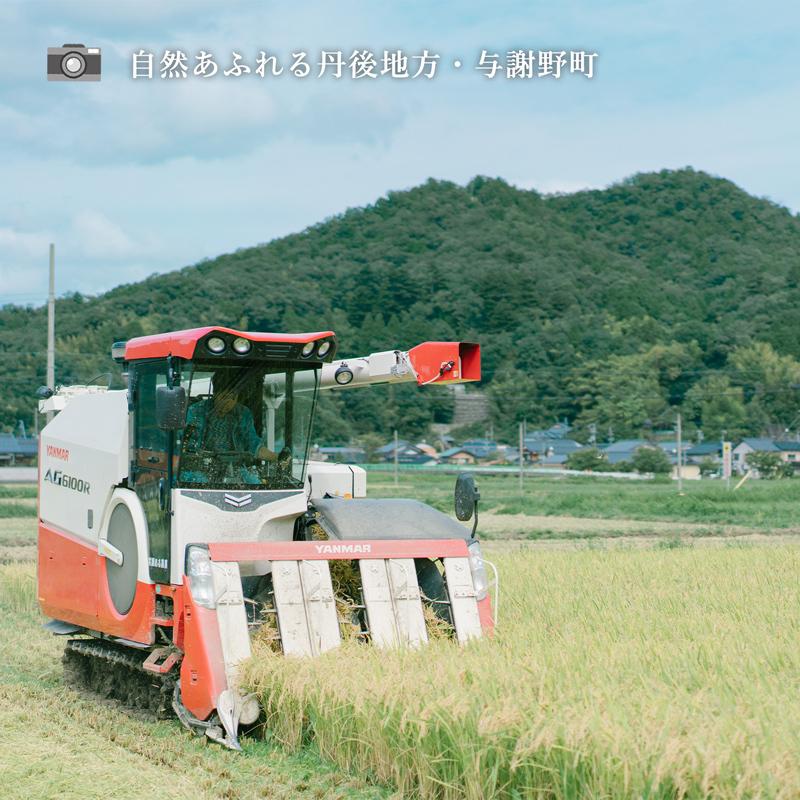コシヒカリ 【令和6年産 新米】京都・丹後産 京の豆っこ・特別 コシヒカリ 【令和6年産 新米】京都・丹後産 京の豆っこ・特別