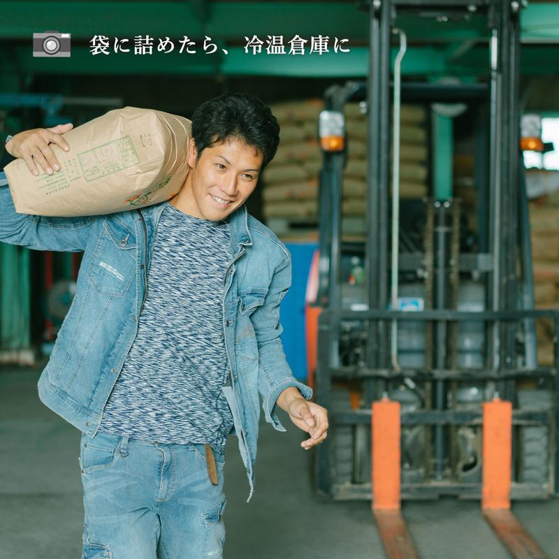 コシヒカリ 【令和6年産 新米】京都・丹後産 京の豆っこ・特別 コシヒカリ 【令和6年産 新米】京都・丹後産 京の豆っこ・特別