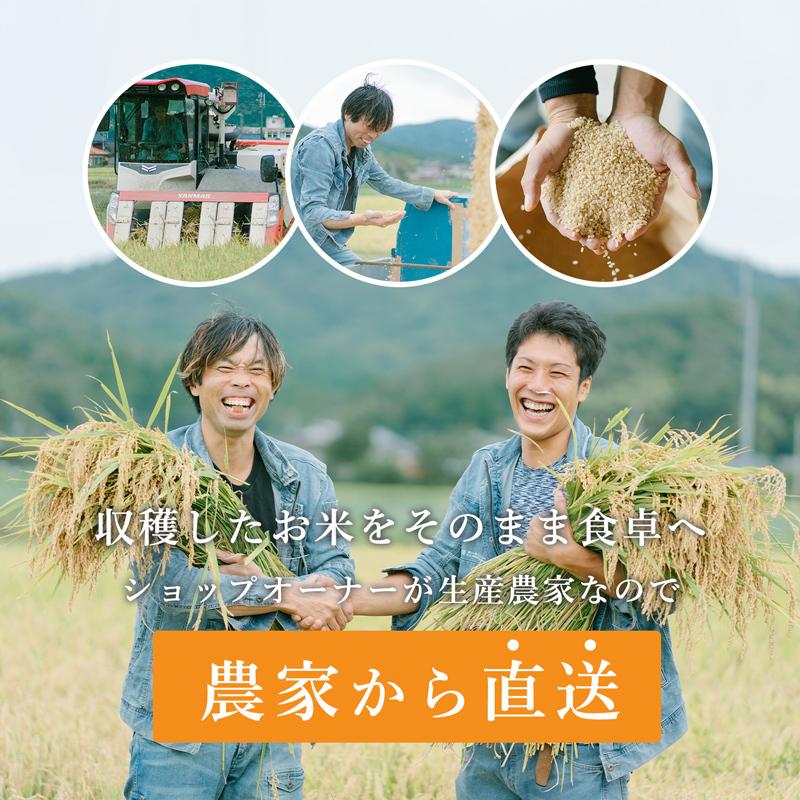 コシヒカリ 【令和6年産 新米】京都・丹後産 京の豆っこ・特別 コシヒカリ 【令和6年産 新米】京都・丹後産 京の豆っこ・特別