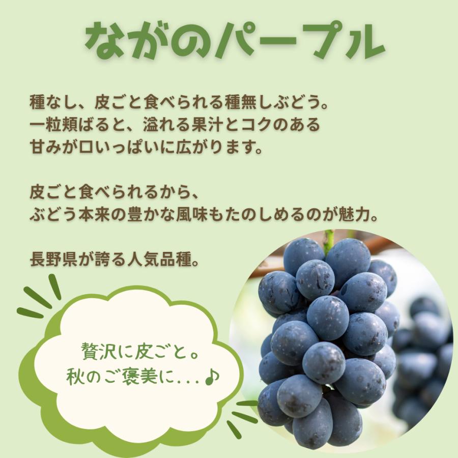 長野県産】シャインマスカット＆ナガノパープル 食べ比べ詰合せ （各1
