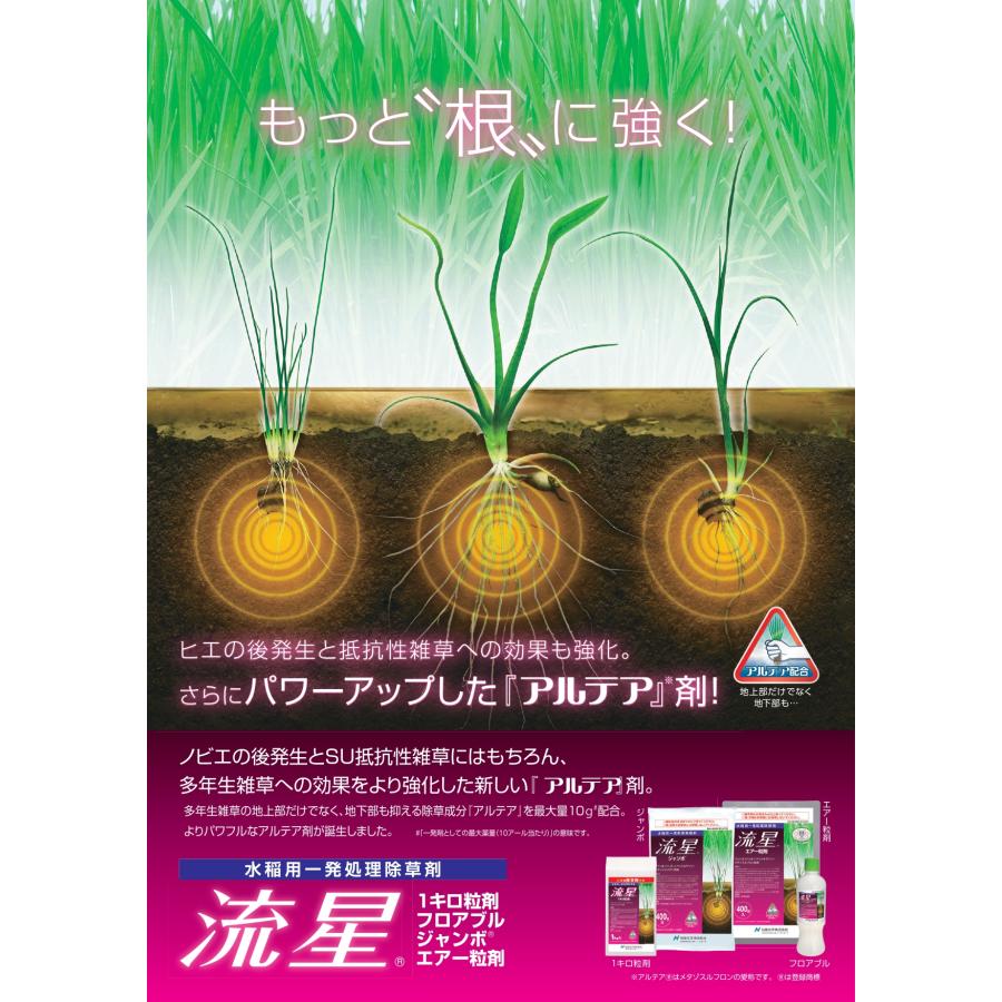 【ケース販売】水稲除草剤 流星 ジャンボ 400g×20袋 ケース販売】水稲除草剤 流星 ジャンボ 400g×20袋 送料無料 ※沖縄県