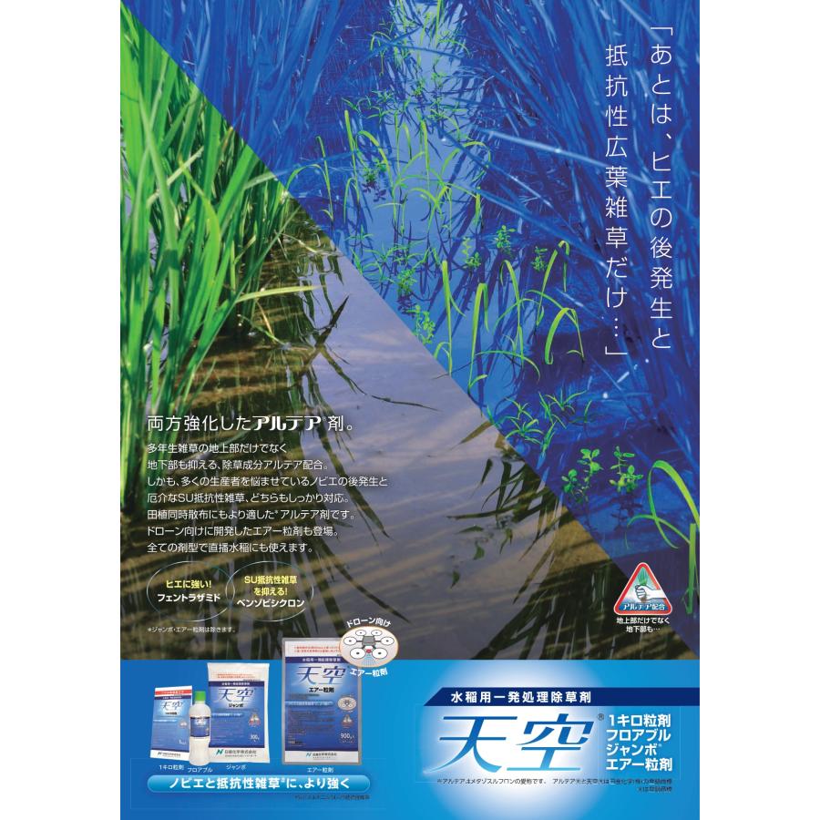 値下げ！天空ジャンボ　水稲除草剤 ケース販売】水稲除草剤 天空 ジャンボ 300g×20袋 送料無料 ※沖縄県