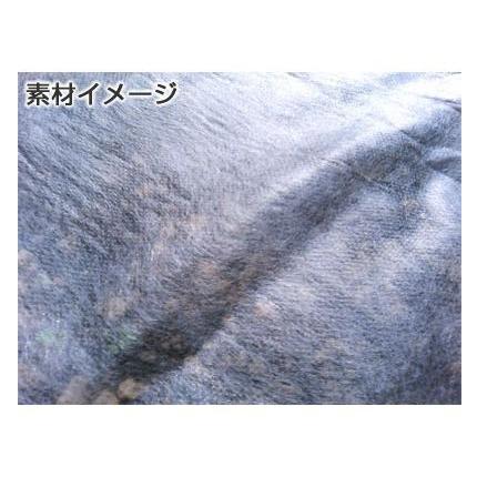 個人宅OK シンセイ 農業用 不織布 120cm X 200m ロール 1.2m 防霜 防鳥