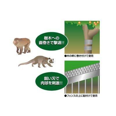 アポロ のぼれんバンド （1箱5枚入） AP-NB2012 ハクビシン イタチ タヌキ 猿 防獣用品 防獣資材 害獣対策 : アグリズ ヤフー ...