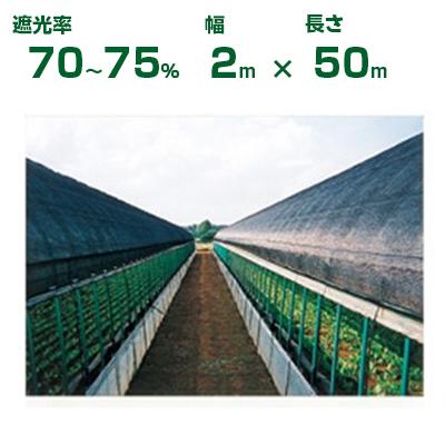 ダイオ化成 遮光ネット 黒 ダイオシート 10号 （遮光率70〜75%） 2m×50m 農業用 園芸用品 家庭菜園 遮熱 ガーデニング(代引不可)
