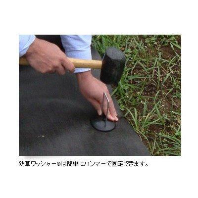Xavan 防草シート ザバーン 純正 防草ワッシャー ブラウン 50個入 WS
