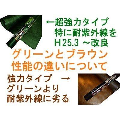 DuPont Xavan　デュボン　ザバーン　 防草シート 240g DuPont（デュポン） 防草シート ザバーン 緑 XA-240G2.0 幅2m×30m 1本