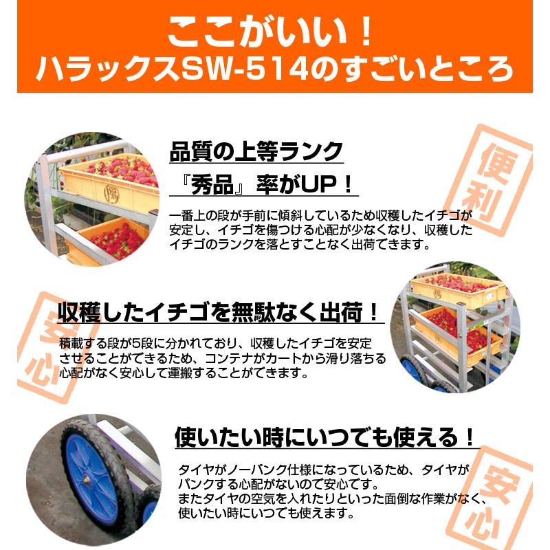 高設いちご用台車2台セット