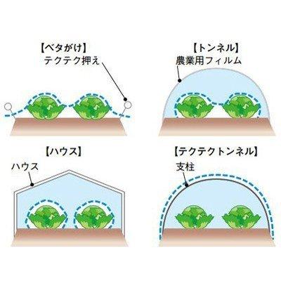 服部猛（旭化成せんい） べたがけ用 不織布 テクテクネオ 180cm×200m 