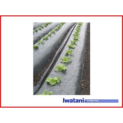 岩谷マテリアル 岩谷 イワタニ 菜園用 メタリック黒マルチ 0.02mm×95cm